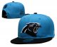 Carolina Panthers Blue and Black Cap